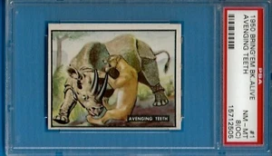 1950 Topps "Bring'Em Back Alive" #1 Avenging Teeth Psa 8oc - Picture 1 of 2