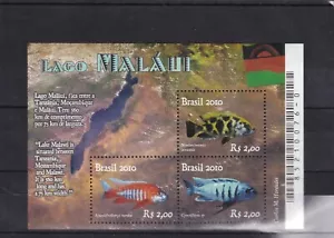 Brazil lake of malawi fish mnh sheet 2010 - Picture 1 of 1