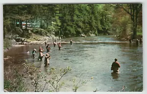 Cartolina Pesca a Kriss Pines Trout Hatchery Lehighton, PA - Foto 1 di 2