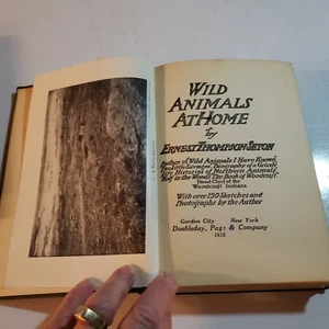 Wild Animals at Home by Ernest Thompson Seton HB, 1926, #4, 1st Edition, 1st P - Picture 1 of 9