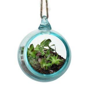 Hanging Terrarium Round Miniature Glass Garden Terrarium Plant Display Botanical - Picture 1 of 7