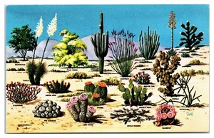 Postal de cactus y flora del desierto del gran suroeste - Imagen 1 de 2