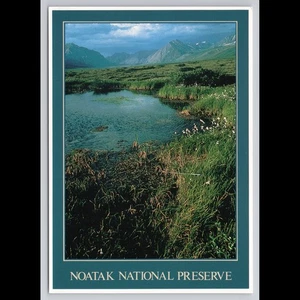 Postal de colección de la Reserva Nacional Noatak de Alaska 1988 vista panorámica sin publicar - Imagen 1 de 4