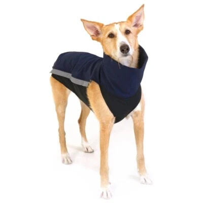 Windhund Mäntel Sofshell mit Fleece - Galgo Whippet Greyhound Jumper Pullover - Bild 1 von 4