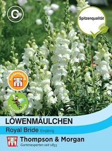 Löwenmäulchen 'Royal Bride' - Antirrhinum majus, Landhausgarten, Samen, 6884 - Bild 1 von 2