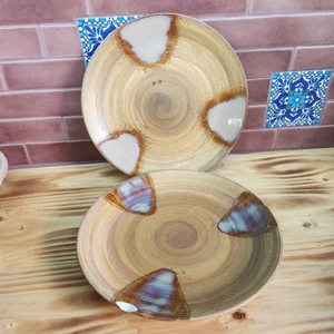 Platos de Sango astillados rotos proyecto artesanal de mosaico marrón esmaltado romper como desees - Imagen 1 de 5