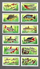 CIGARETTE CARDS. Amalgamated Tobacco. AQUARIUM FISH. (1961). (Full Set of 25).