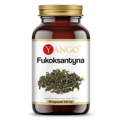 YANGO Fucoxanthin 90 Kapseln