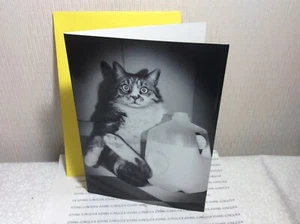 GRUSSKARTE ZUM GEBURTSTAG AVANTI Neu mit Umschlag "GO AHEAD AND MILK IT!" - Bild 1 von 3