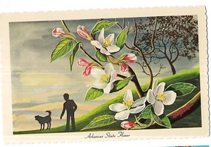 APPLE BLOSSOM Boy & His Dog ARKANSAS STATE FLOWER Postcard AR Painting Ken Haag - Picture 1 of 2