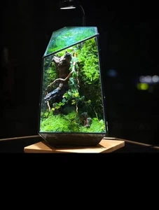 Mikro Landschaft Kreative, Handmade Zeit-Kapsel Glas Terrarium - Bild 1 von 7