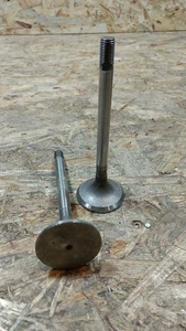 Original GM Opel Rekord B Coupé Einlassventil Set NEU - Bild 1 von 2