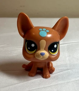 Littlest Pet Shop Animal - Lucky Pet Boston Terrier Dog - Picture 1 of 2