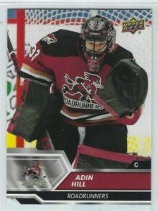 2019-20 Upper Deck AHL #35 Adin Hill (goalie)
