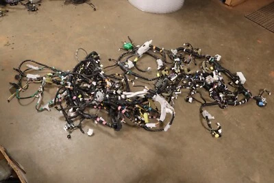 Lexus LS460 L 2009 carrocería piso principal cableado arnés cable OEM Foto 1 de 4