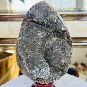 Natürlicher Drache Septarier Geode Ei Quarz Kristall Berg Reiki Heilung 3909G - Bild 1 von 9