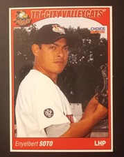 2005 Tri-City ValleyCats Enyelbert Soto #17