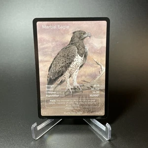Martial Eagle Full Art #50/130 LIFE TCG Birds - Only 3,000 printed - Picture 1 of 3