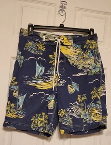 American Eagle Outfitters mens Board Shorts Size 32 Hawaiian Style - Picture 1 of 8