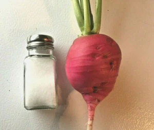 301+GERMAN GIANT RADISH Seeds Organic Heirloom Vegetable Mild Garden Container - Picture 1 of 9