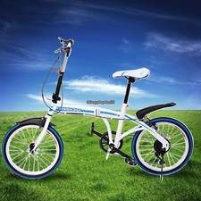 Folding Electric Bike