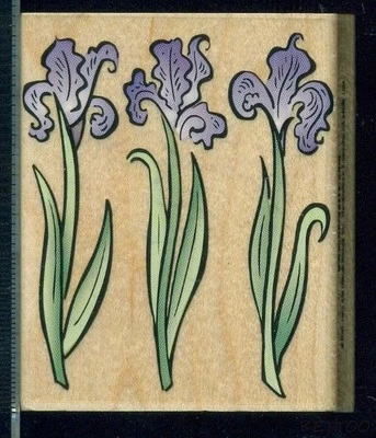 HERO ARTS Mounted Rubber Stamp THREE IRIS TRIO Gardening Theme New SCRAPBOOKING - Image 1 of 2