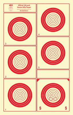 NATIONAL TARGET (12) IBS100HR 100 Yard Hunter Rifle Target, Red, Heavy Paper, 12"x19" SHIPS FREE
