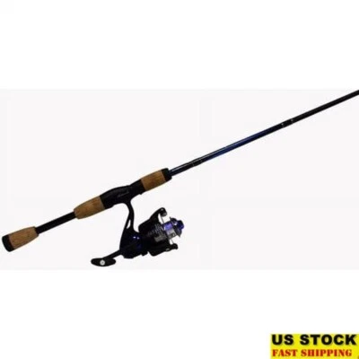 Combo de carrete de caña giratoria Crappie Panfish 2500 tamaño duradero ligero EE. UU. Foto 1 de 4