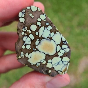 NATURAL STAR FOX VARISCITE ROUGH NEVADA 38.4 GRAMS - Picture 1 of 7