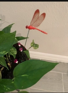 Dragonfly Stakes Outdoor 3D For Patio Plants - Picture 1 of 4