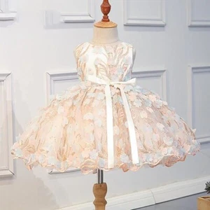 ELEGANT GIRLS EMBROIDERED FLOWERS BIRTHDAY DRESS - Picture 1 of 5