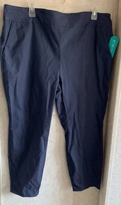 Pioneer Woman Women's Pants Ankle New Straight Fit Plus Size 2X 20W 22W Pull On - Picture 1 of 4