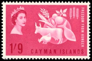 CAYMAN ISLANDS 168 - Freedom from Hunger Campaign (pb79902) - Picture 1 of 1