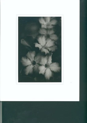 复古洛杉矶摄影师 Brian English 限量版 照片签名 Matted — 第 1/2 张图片