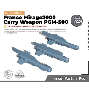 LY48715 1/48 Modelo Actualización Piezas Francia Mirage2000 Arma de Transporte PGM-500 - Imagen 1 de 3