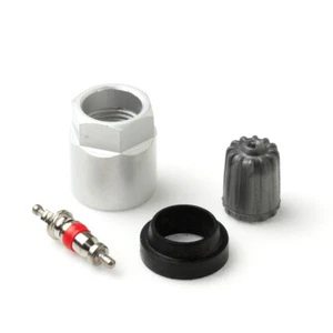 TPMS Sensor Service Kit 31 Inc 17-20006AK - Picture 1 of 1