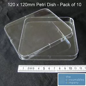 120 x 120mm sterile Square Petri Dish Triple Vent with lids Sealed pack of 10 - Picture 1 of 1