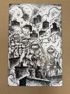 TORTUGAS NINJA MUTANTES ADOLESCENTES #10 VARIANTE KEVIN EASTMAN 1:10 ALTO GRADO TMNT - Imagen 1 de 2