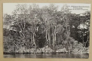 SENEGAL - A.O.F. - FORET TROPICALE - Fortier n°533 - Picture 1 of 1