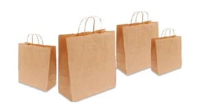 Kraft Brown Twist Handle Paper Party and Gift Carrier Bags With Twisted Handles - Picture 1 of 12