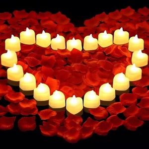 3000 PCS Artificial Rose Petals with 20 PCS Flameless LED Tea Lights Candles ... - Picture 1 of 7