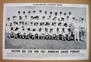 1967 Boston Red Sox Tm Display Poster 12x19 Yastrzemski Conigliaro Lonborg FS - Picture 1 of 1