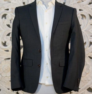 DKNY Men’s 36S Wool Blazer Charcoal Stripe Slim Fit 2-Button Chic Classic - Picture 1 of 15