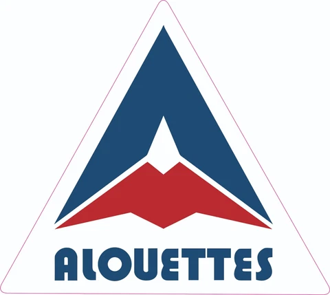 Alouettes 1986 inspired Full Size Football Helmet Decals Cover