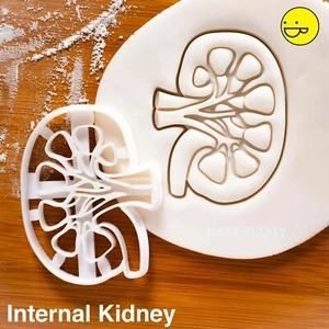 Anatomical Kidney (Internal View) cookie cutter anatomy kidneys renal organ - Picture 1 of 7
