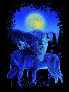 Plush Queen Size Wolf Blanket - Extremely Soft - Soul Mate Wolves - Picture 1 of 3