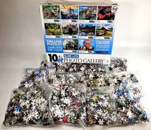 Sure-Lox Photo Gallery 10 Puzzle Box with 1 Bonus Extra Bag 5,600+ pieces - Picture 1 of 7