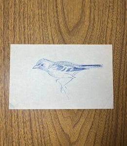 Drawing Of A Bird By Stanislaus Brien - Picture 1 of 5