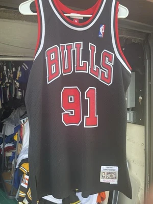 Dennis Rodman #91 Chicago Bulls  Swingman Jersey SZ M - Image 1 of 4