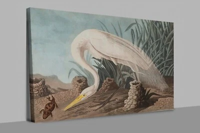 Arte de pared con impresión en lienzo de pájaro garza blanca John James Audubon Foto 1 de 4